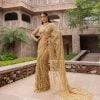 Dazzling Golden Color Mono Butterfly Net Embroidery work Saree