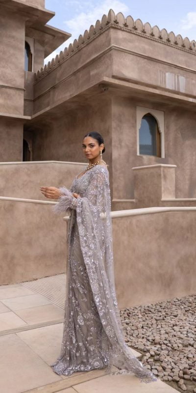 Miracle Grey Color Mono Net Sequins Embroidery work Saree