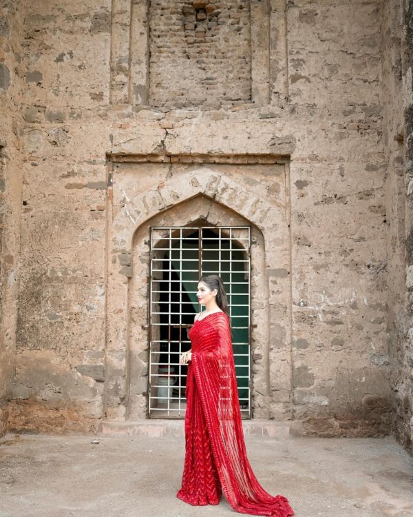 Special Red Color Georgette Embroidery Sequence Work Saree