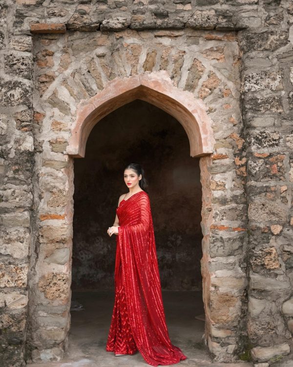 Special Red Color Georgette Embroidery Sequence Work Saree
