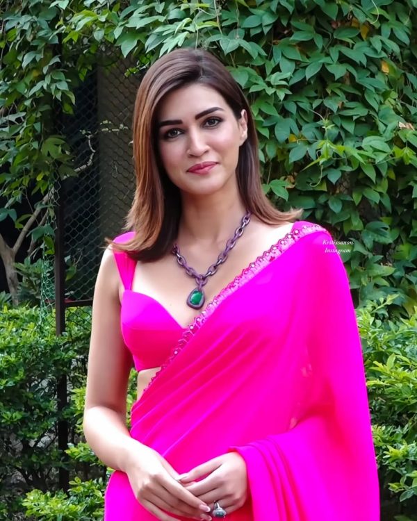 Stunning Pink Color Georgette Embroidery Sequence Lace Saree