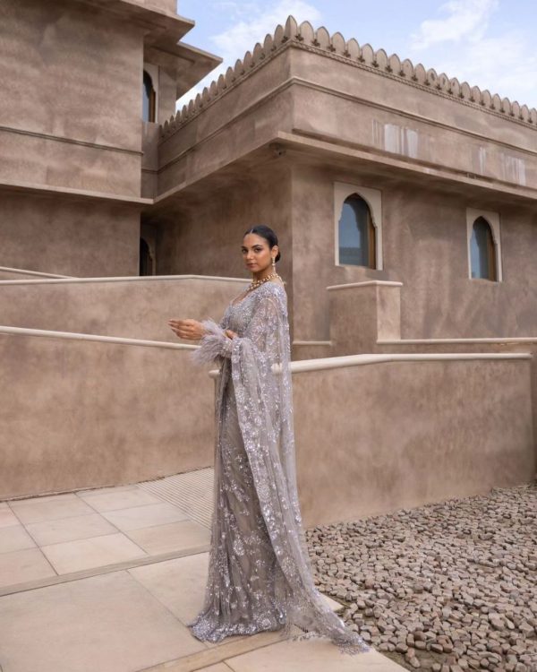 Fancy Silver Color Nylon Butterfly Net Malty & Sequence Saree
