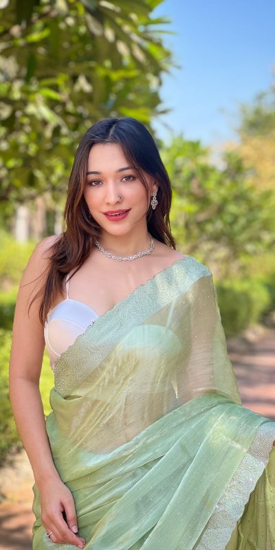 Fancy Pista Green Burberry Silk Diamond Sequins Saree