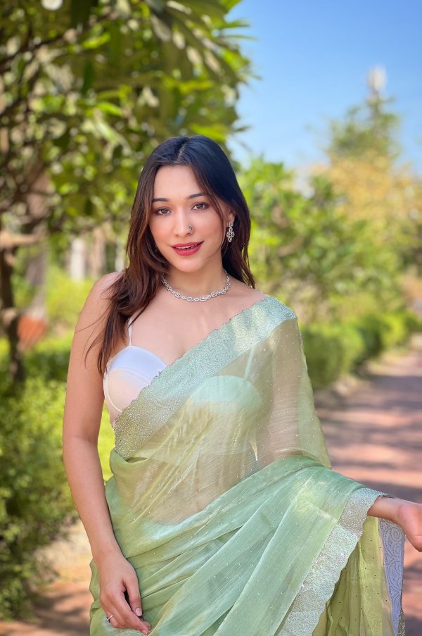 Fancy Pista Green Burberry Silk Diamond Sequins Saree