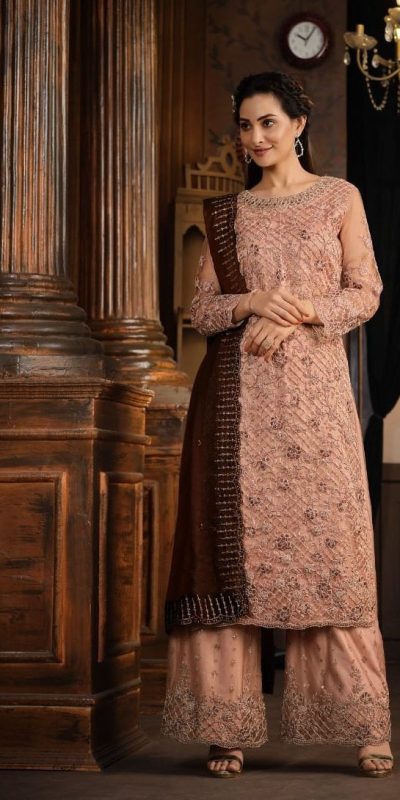 Superb Onion Heavy Net Coding Sequence Embroidery Salwar Suit