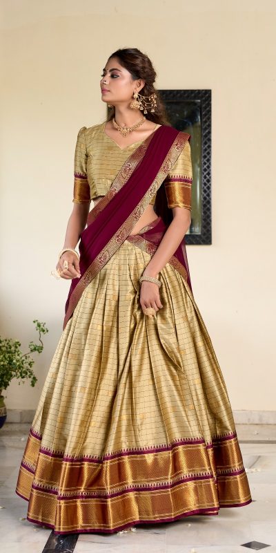 Graceful Chicco Color Cotton Silk Weaving Paithani Concept Lehenga Choli