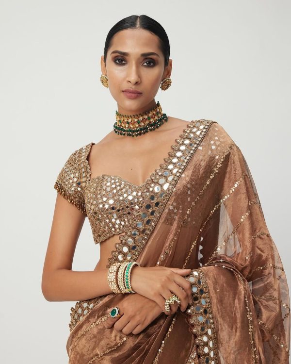 Awesome Mustard Yellow Color Jimmy Chu Embroidery Lace Border Sequins Work Saree