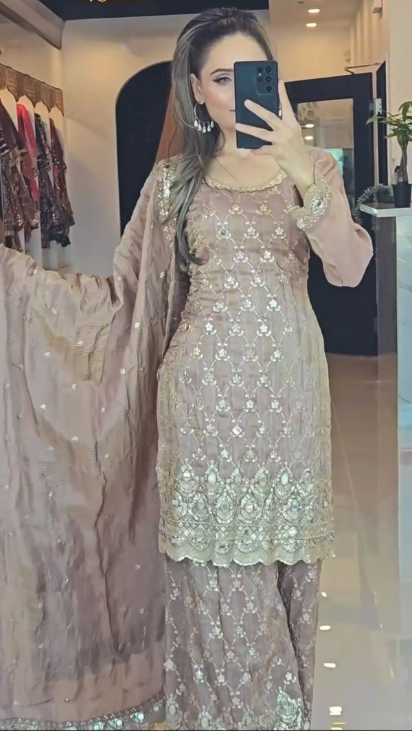 Cream Chinnon Silk Embroidery Sequence Work Real Mirror Hand Work Salwar Suit - Image 3