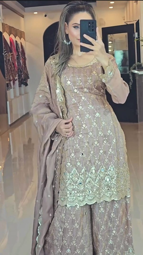 Cream Chinnon Silk Embroidery Sequence Work Real Mirror Hand Work Salwar Suit - Image 4
