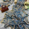 Blue Chiffon Pattern Hand Work Lace Saree