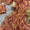 Peach Chiffon Pattern Hand Work Lace Saree