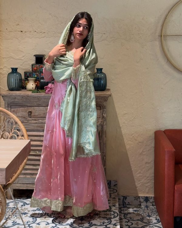Peach Sequence Embroidery Rivet Moti Work Salwar Suit - Image 2