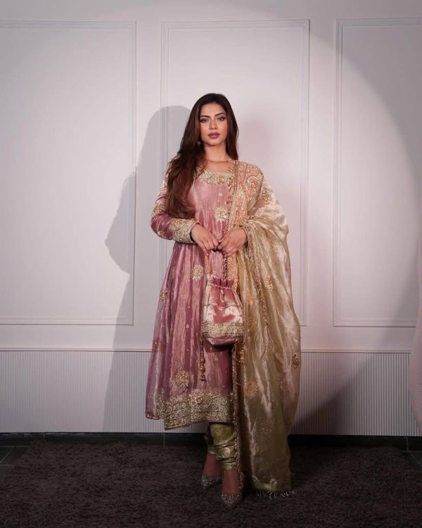 Peach Sequence Embroidery Rivet Moti Work Salwar Suit - Image 5