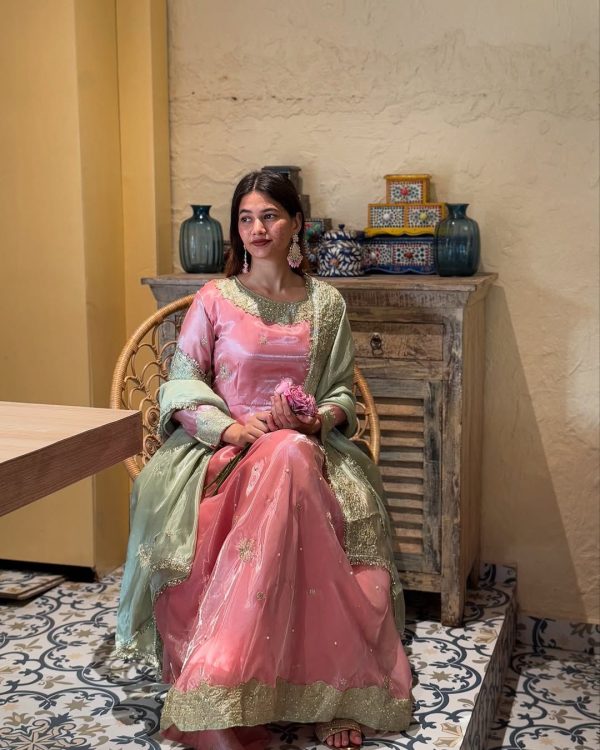 Peach Sequence Embroidery Rivet Moti Work Salwar Suit - Image 6