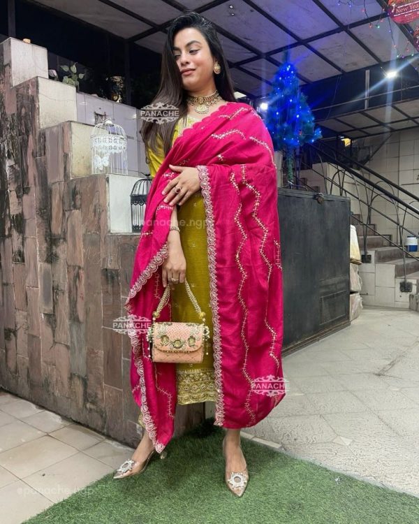 Mahandi Chinon Embroidery Work Salwar Suit - Image 4
