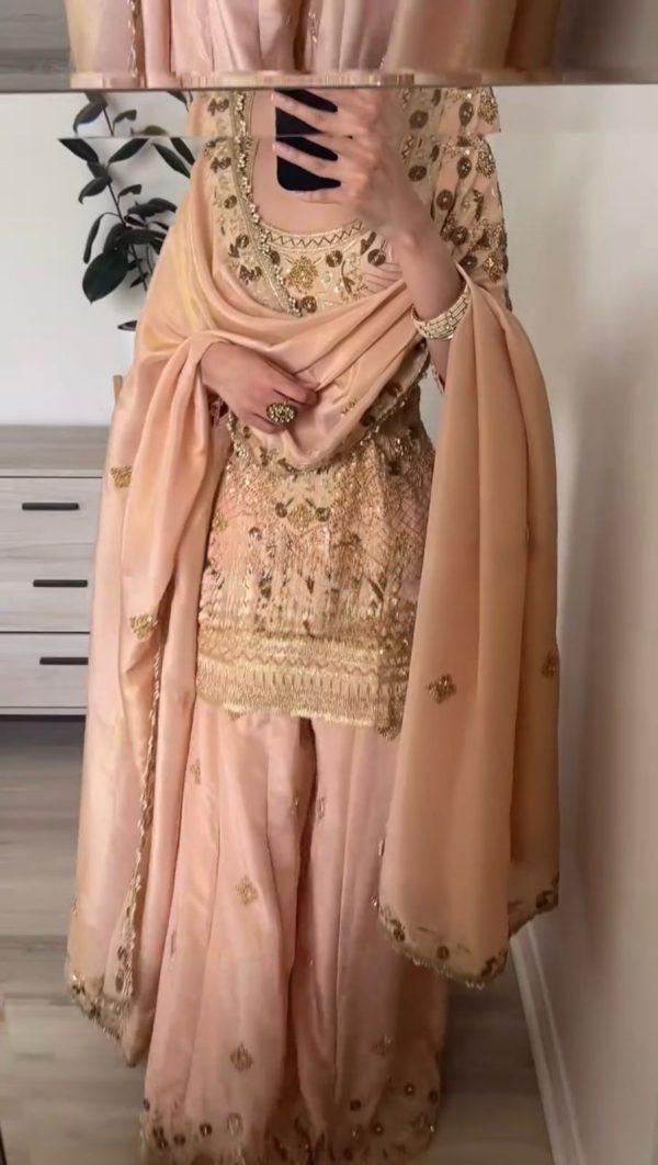 Peach Jalpari Cotton With Embroidery Sequence Salwar Suit - Image 2