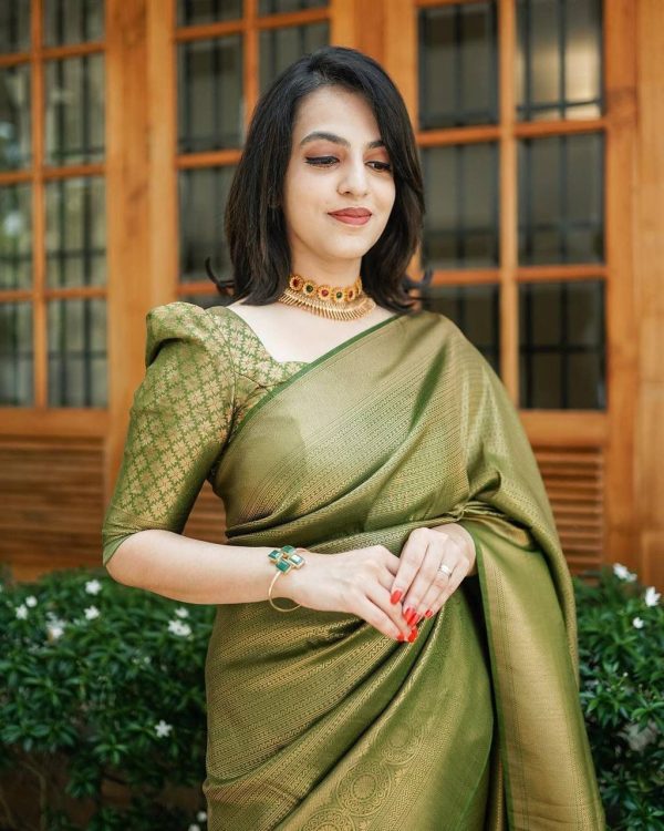 Mehndi Silk Jacquard Work On All Over Saree - Image 2