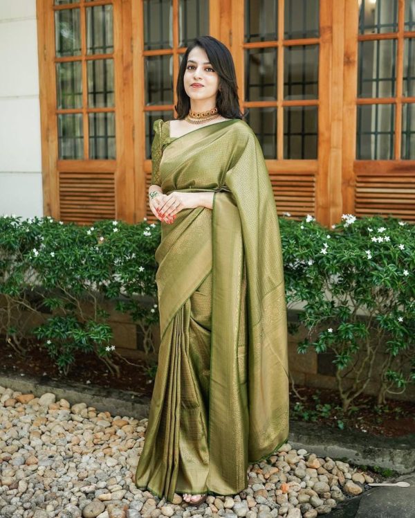 Mehndi Silk Jacquard Work On All Over Saree - Image 3