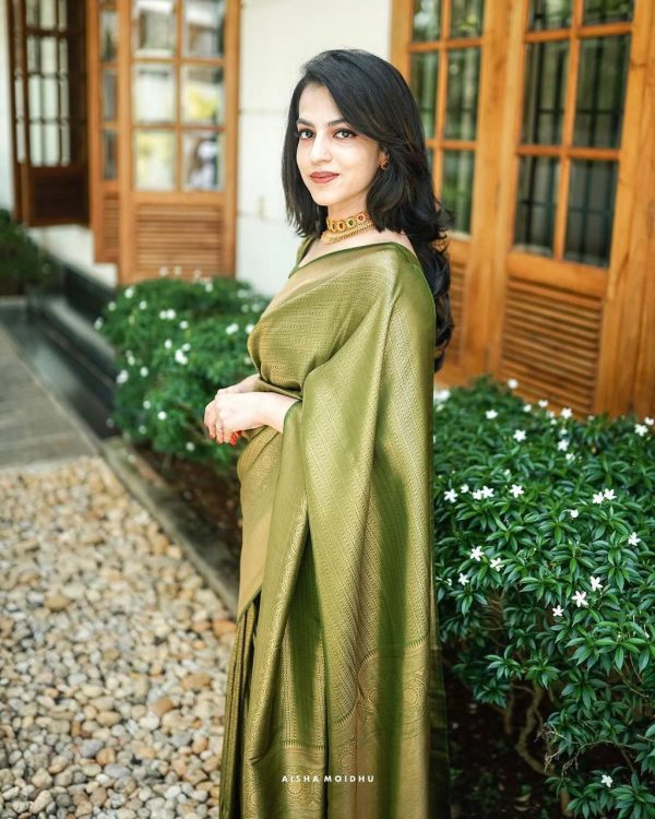 Mehndi Silk Jacquard Work On All Over Saree - Image 4