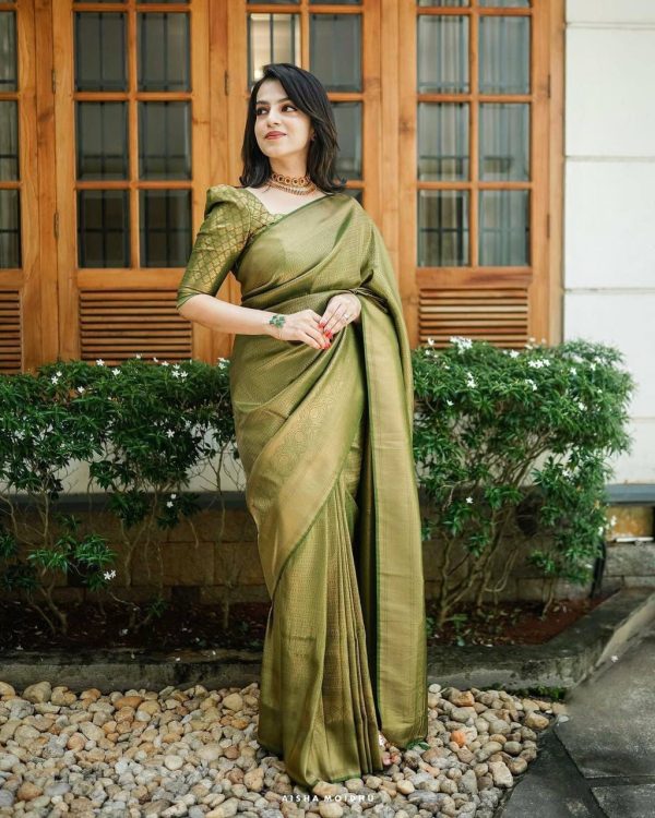 Mehndi Silk Jacquard Work On All Over Saree - Image 5