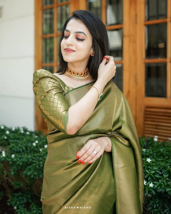 Mehndi Silk Jacquard Work On All Over Saree - Image 8