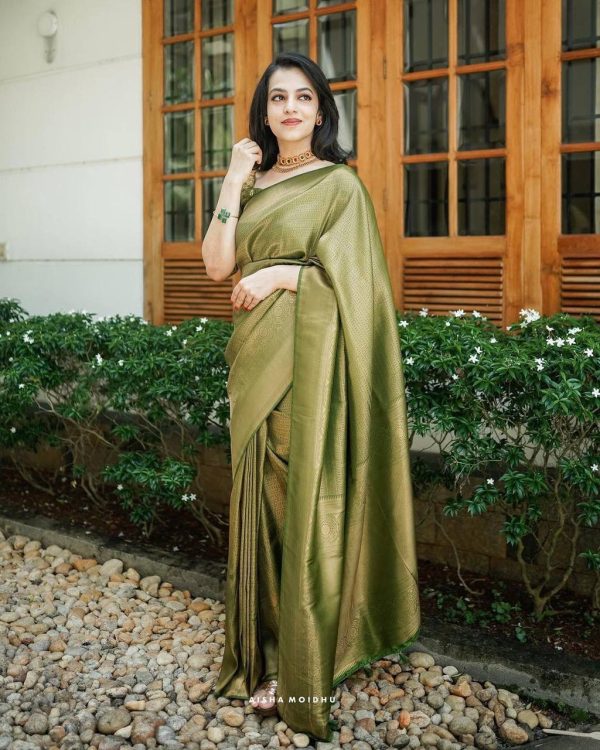 Mehndi Silk Jacquard Work On All Over Saree - Image 6