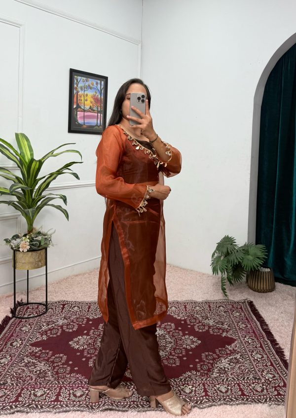 Nice Brown Color Organza Mirror Lace Work Salwar Suit
