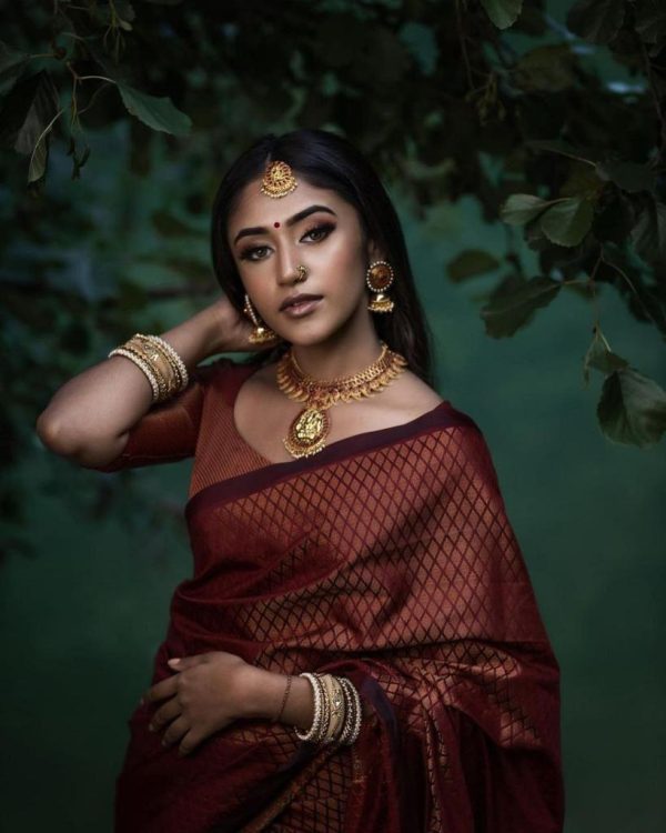 Maroon Soft Litchi Silk Jacquard Work On All Over Saree - Image 6