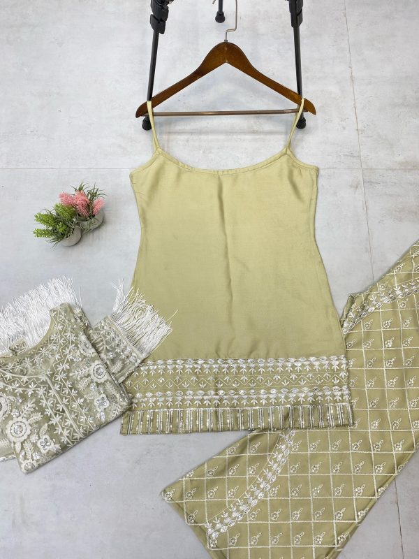 Pista Micro With Net Embroidered Belt Sequence Salwar Suit - Image 4