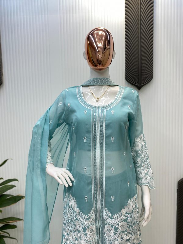 Sky Blue Organza Sequence Work Indo-Western Suit - Image 4
