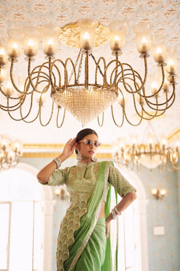 Pista Chinon Embroidery Work Lace Border Saree - Image 3