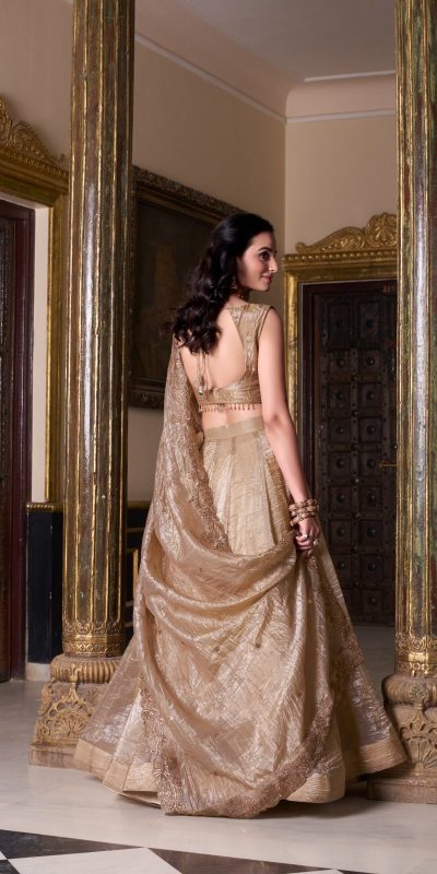 LNB 1430 Chiku Color Gold Crush Plain Canvas Lehenga Choli Wedding, Party, Festive, Events Etc. Delivery 4-6 Working Days Rs 3199 | Lehenga, Bollywood Lehenga, Creative Lehenga, Designer Lehenga, Embroidered Lehenga, Party Wear Lehenga