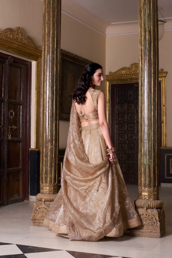 LNB 1430 Chiku Color Gold Crush Plain Canvas Lehenga Choli Wedding, Party, Festive, Events Etc. Delivery 4-6 Working Days Rs 3199 | Lehenga, Bollywood Lehenga, Creative Lehenga, Designer Lehenga, Embroidered Lehenga, Party Wear Lehenga