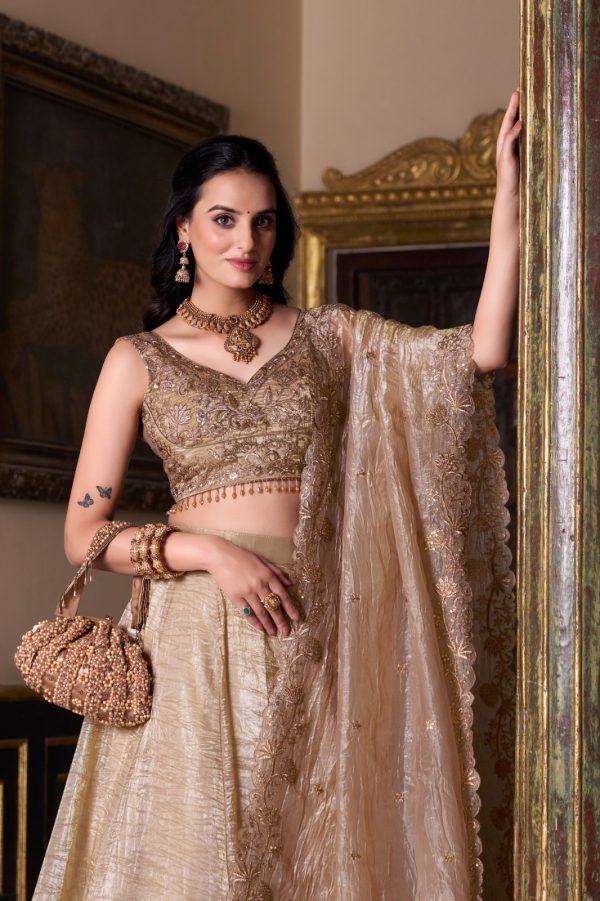 LNB 1430 Chiku Color Gold Crush Plain Canvas Lehenga Choli Wedding, Party, Festive, Events Etc. Delivery 4-6 Working Days Rs 3199 | Lehenga, Bollywood Lehenga, Creative Lehenga, Designer Lehenga, Embroidered Lehenga, Party Wear Lehenga