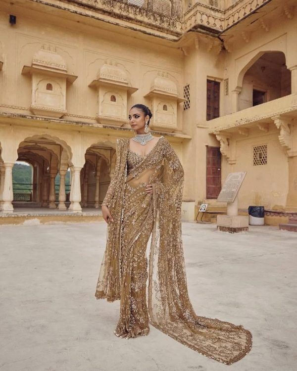 DF 3441 Chiku Color Mono Net Heavy 5mm Sequins Embroidery Work Saree Casual, Wedding, Festive, Events . Expected Delivery  4-6 Working Days @1799/- only                                                                                | Sarees, Bollywood Sarees, Creative Sarees, Designer Sarees, Embroidered Sarees, Ethnic Saree, Modern Digital sarees, Party Wear Sarees