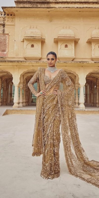 DF 3441 Chiku Color Mono Net Heavy 5mm Sequins Embroidery Work Saree Casual, Wedding, Festive, Events . Expected Delivery  4-6 Working Days @1799/- only                                                                                | Sarees, Bollywood Sarees, Creative Sarees, Designer Sarees, Embroidered Sarees, Ethnic Saree, Modern Digital sarees, Party Wear Sarees