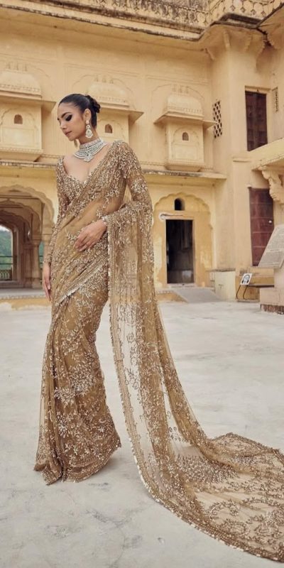 DF 3441 Chiku Color Mono Net Heavy 5mm Sequins Embroidery Work Saree Casual, Wedding, Festive, Events . Expected Delivery  4-6 Working Days @1799/- only                                                                                | Sarees, Bollywood Sarees, Creative Sarees, Designer Sarees, Embroidered Sarees, Ethnic Saree, Modern Digital sarees, Party Wear Sarees