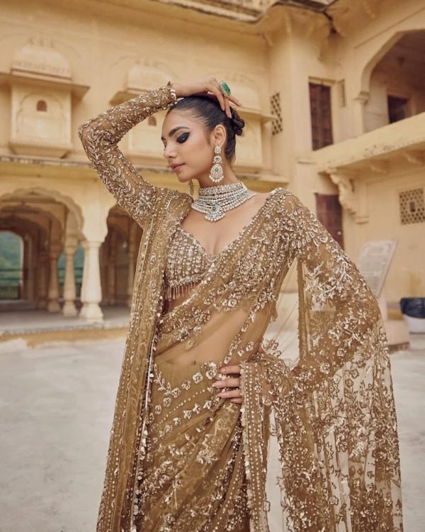 DF 3441 Chiku Color Mono Net Heavy 5mm Sequins Embroidery Work Saree Casual, Wedding, Festive, Events . Expected Delivery  4-6 Working Days @1799/- only                                                                                | Sarees, Bollywood Sarees, Creative Sarees, Designer Sarees, Embroidered Sarees, Ethnic Saree, Modern Digital sarees, Party Wear Sarees