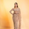 Cream Butterfly Net Sequence Saree