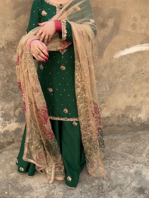 LG 1996 Green Color Chinon Sequence Embroidery Work Salwar Suit Casual, Wedding, Festive, Events . Expected Delivery  4-6 Working Days @1999/- only      | Jump Suits, Salwar suit, Casual Suits, Creative suits, Designer Suits, Palazzo Suits, Party Wear Suits, Patiala Suits, Straight Suits