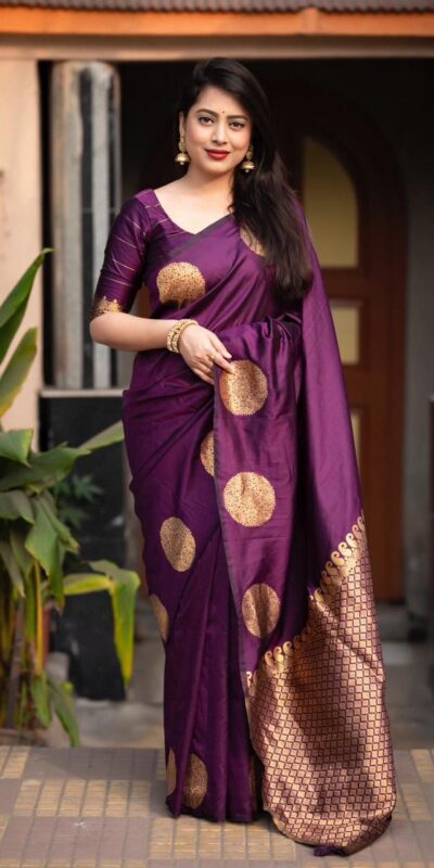 Dark Purple Soft Silk Cloth Pallu Saree