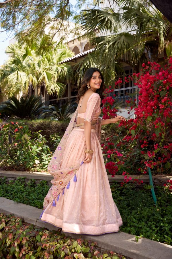 LNB 1426 Light Pink Gold Crush With Sequins Work & Embroidery Work Lehenga Choli . Best Price ₹3499. Delivery 4-6 Working Days. Shop now. | Lehenga, Bollywood Lehenga, Creative Lehenga, Designer Lehenga, Embroidered Lehenga, Party Wear Lehenga