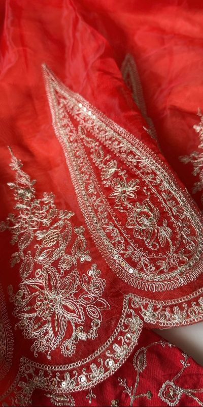 DF Queen Red Organza Tissue Saree with Sequins Work & Embroidery. Festive Deal ₹2499. Delivery 4-6 Working Days. Shop now. | Sarees, Bollywood Sarees, Creative Sarees, Designer Sarees, Embroidered Sarees, Ethnic Saree, Modern Digital sarees, Party Wear Sarees