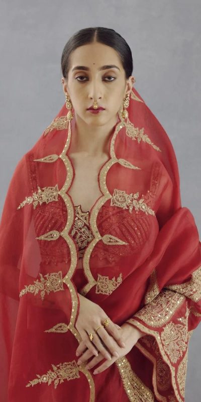 DF Queen Red Organza Tissue Saree with Sequins Work & Embroidery. Festive Deal ₹2499. Delivery 4-6 Working Days. Shop now. | Sarees, Bollywood Sarees, Creative Sarees, Designer Sarees, Embroidered Sarees, Ethnic Saree, Modern Digital sarees, Party Wear Sarees