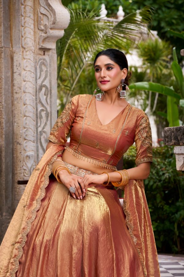 LNB 1440 Rust Fendi Sequins Work & Embroidery Work Lehenga Choli in . Introductory Price ₹2999. Delivery 4-6 Working Days. Shop now. | Lehenga, Bollywood Lehenga, Creative Lehenga, Designer Lehenga, Embroidered Lehenga, Party Wear Lehenga