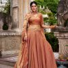 LNB 1440 Rust Fendi Sequins Work & Embroidery Work Lehenga Choli in . Introductory Price ₹2999. Delivery 4-6 Working Days. Shop now. | Lehenga, Bollywood Lehenga, Creative Lehenga, Designer Lehenga, Embroidered Lehenga, Party Wear Lehenga