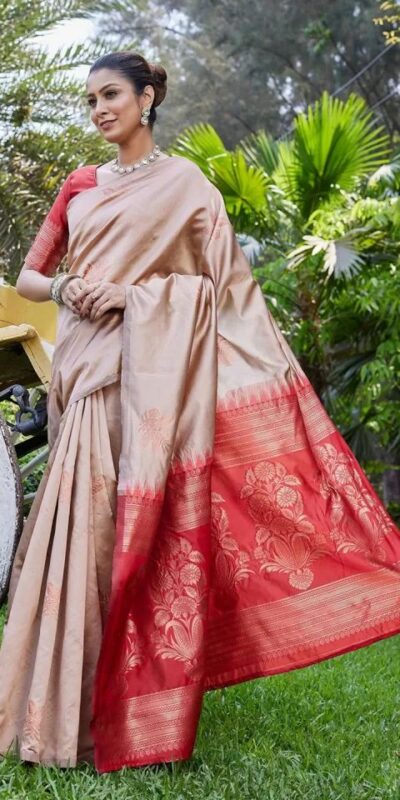 Chiku Lichi Silk Lace Border Saree