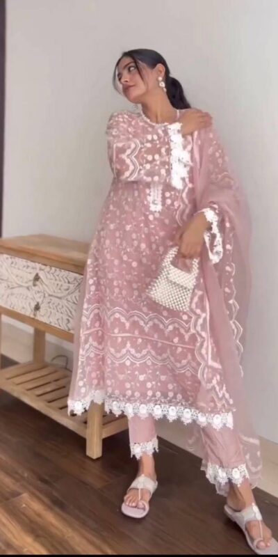 Onion Soft Net Embroidery Cut Work Salwar Suit