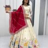 Red Tissue Silk Cut Lace Work Lehenga Choli