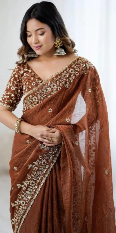 Rust Fandy Chiffon Embroidery Work Saree
